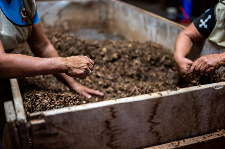 compost